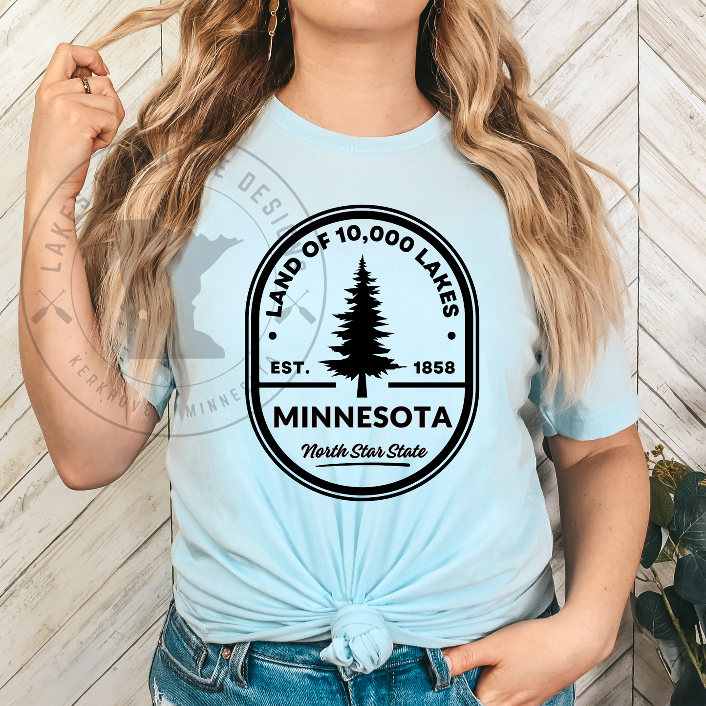 Minnesota North Star State