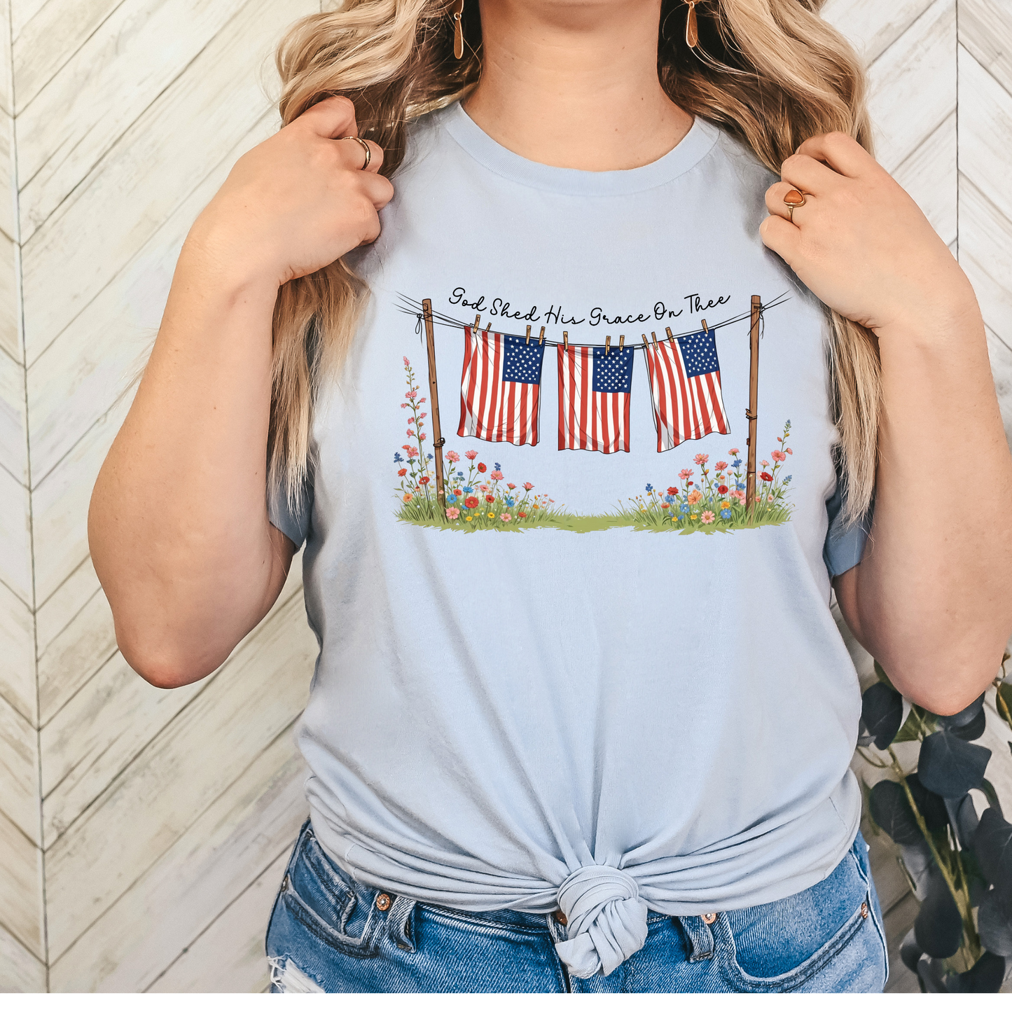 Clothes line Flags