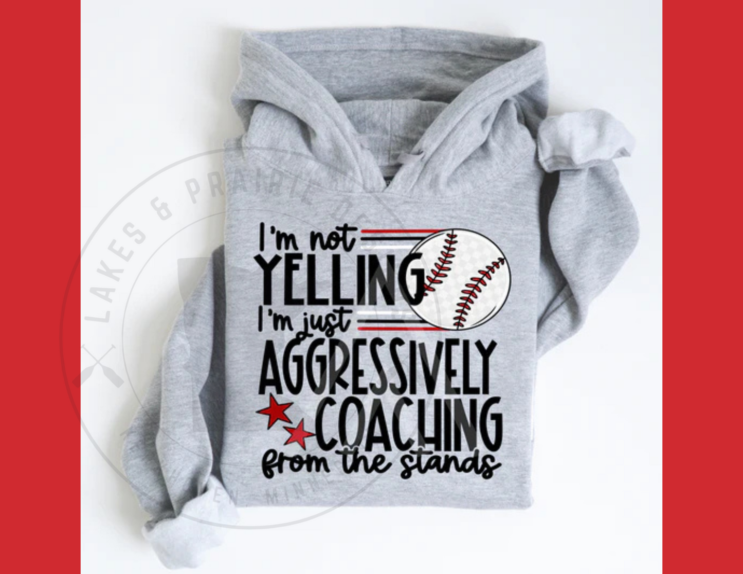 Aggressively Coaching Baseball