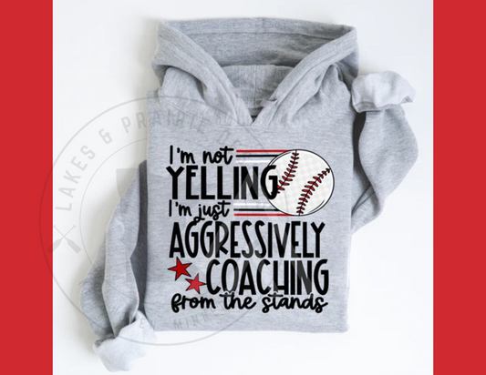 Aggressively Coaching Baseball