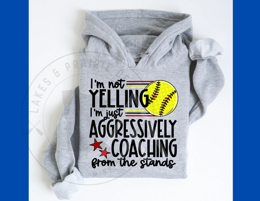 Aggressively Coaching Softball