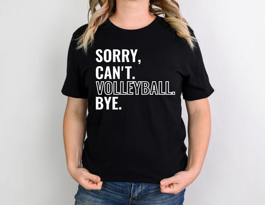 Sorry. Can't. Volleyball. Bye.