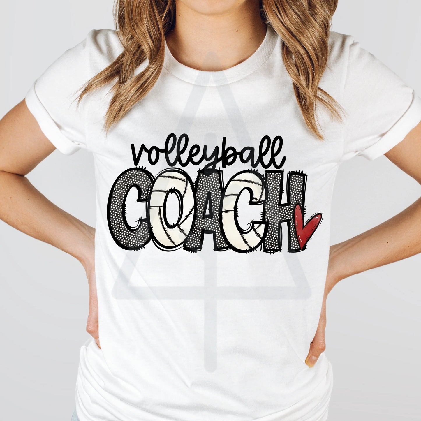 Volleyball Coach